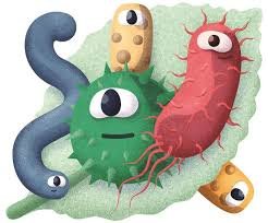 Microbioma humano no intestino