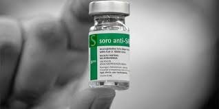 Produção de soro antiofídico no Instituto Butantan, Brasil