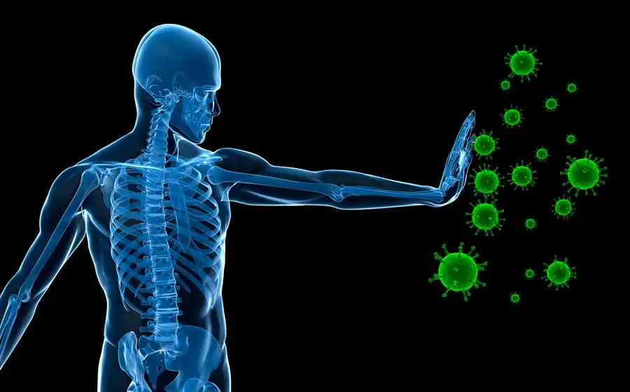 memória imunológica do corpo humano